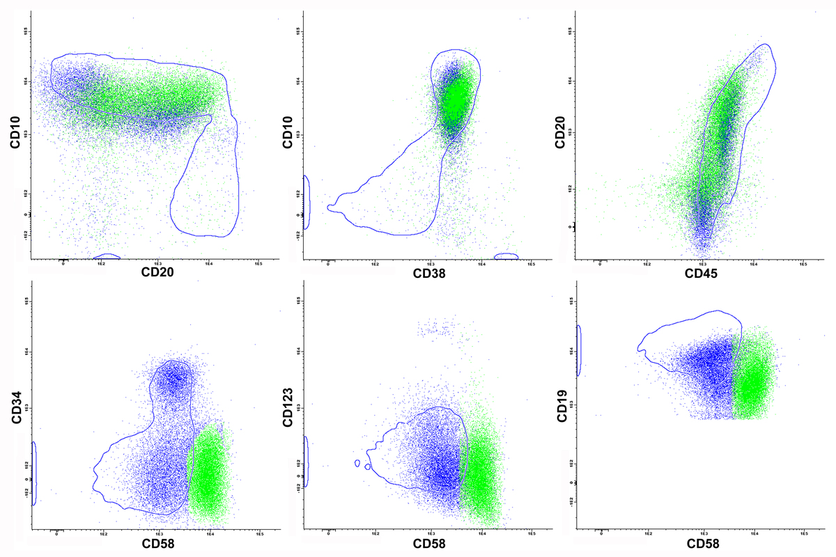 Image 3 additional flow cytometric data